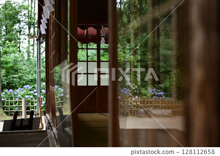 繡球花季的芳賀天滿宮 128112658