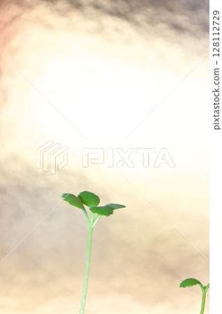 Meowing Meowing 128112729