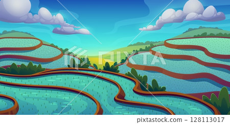 Rice field landscape background, vector agriculture and farm. Cartoon mountain plantation of paddy plant rural nature landscape. Flooded rice fields of asian terrace farm on mountain hills with paddy 128113017