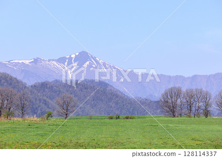 北海道足寄町米托附近468號的公路風景 [5月] 128114337