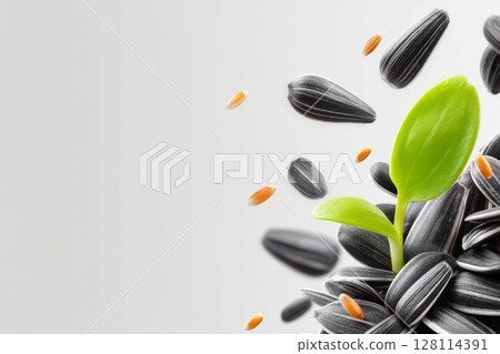 A close-up view of sunflower microgreens set against a white backdrop, highlighting the process of seed germination for at-home crop cultivation of microgreens A close-up view of sunflower microgreens set against a white backdrop, highlighting the process of seed germination for at-home crop cultivation of microgreens 128114391