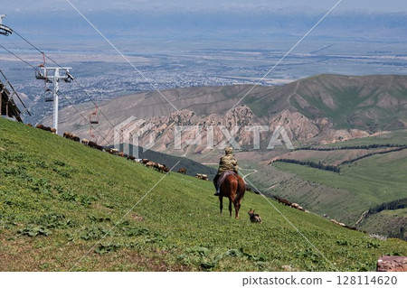 shepherd on horseback grazes a flock of sheep in the mountains. 128114620