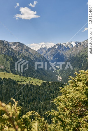 Karakol Gorge, Summer natural landscape. Mountain range, dense coniferous forest and snow capped peaks. Travel destination in Kyrgyzstan, Kirgiziya Mountains. Scenery, hight point of view 128114664