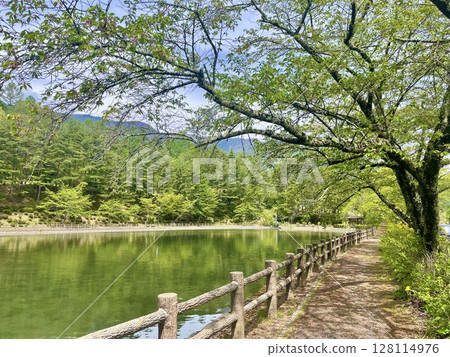 有池塘的公園 128114976