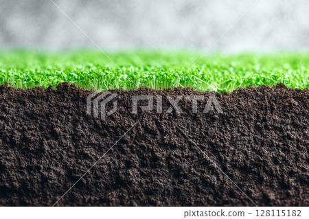 Microgreens of peas include seeds and roots, and can be sprouted on jute mats or biodegradable hemp mats for optimal growth, resulting in sprouted pea seeds with a suitable growing medium Microgreens of peas include seeds and roots, and can be sprouted on jute mats or biodegradable hemp mats for optimal growth, resulting in sprouted pea seeds with a suitable growing medium 128115182