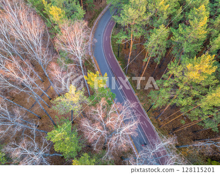 Aerial view of road in beautiful autumn forest at sunset. Beautiful landscape with empty rural road, trees with red and orange leaves. 128115201