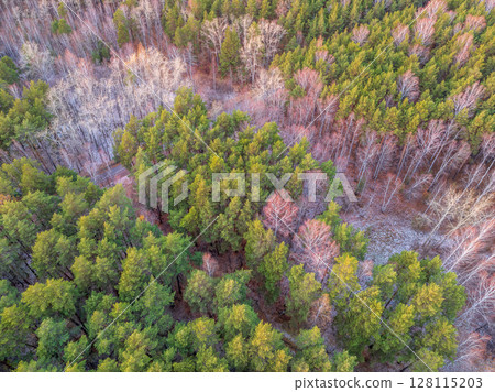 Aerial drone view of stunning colorful autumn fall forest. 128115203