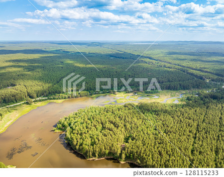 Aerial view of lake or river green shore with forest. Summer season. 128115233