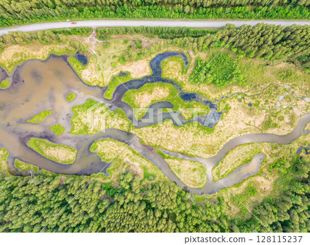 Aerial view of lake or river green shore with forest. Summer season. Aerial view of lake or river green shore with forest. Summer season. 128115237