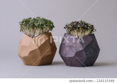 Sprouts from radish, sunflower, and beet are placed in a paper package on a white background 128115349
