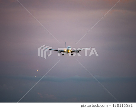 Jet plane landing at dusk Jet plane landing at dusk 128115581
