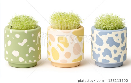 Micro onion, pea, and beet green shoots are displayed in pots on a white background as a vegan microgreens set 128115590