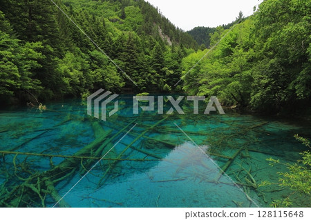 清澈的海濱 清澈的海濱 128115648