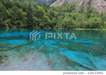 Mysterious blue pond 128115661