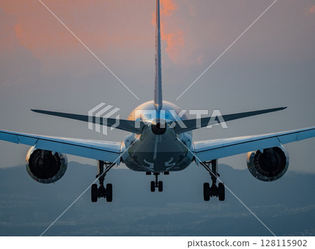 Jet plane landing at dusk Jet plane landing at dusk 128115902