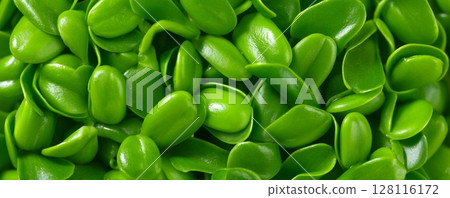 The concept of selective focus is applied to a pea microgreen, highlighting its fresh and juicy sprouts rich in trace elements and considered a superfood 128116172