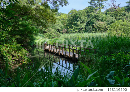 National Museum of Nature and Science Aquatic Botanical Garden 128116290