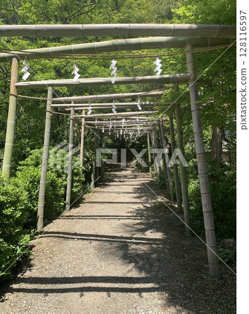 A road lined with torii gates of Takedera Temple 128116597