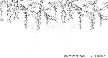 Currant gooseberry with long flower clusters on branch, leaves, hanging ripe garden casseille berry jostaberry. Hand drawn in vector ink. Isolated seamless banner border garland. Menu, farmers market 128116964