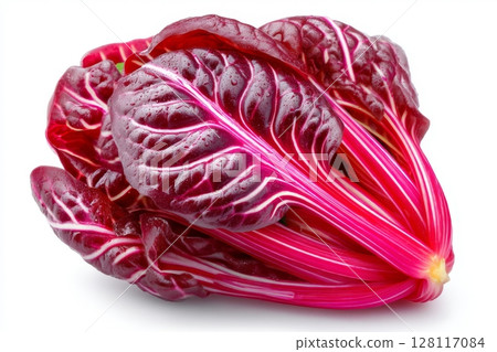 Isolated fresh sorrel sprouts are set against a white background, described as microgreens 128117084
