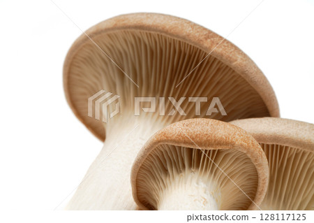 Ingredient image: Fresh king oyster mushrooms 128117125