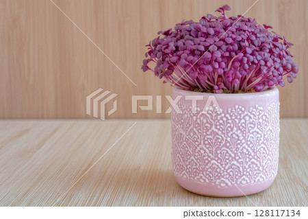 A close-up view of radish microgreens reveals their vibrant green leaves and deep purple stems, embodying the concept of sprouting microgreens and seed germination at home for a vegan and healthy 128117134