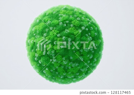 Alfalfa microgreen sits on a white background, viewed from the top 128117465