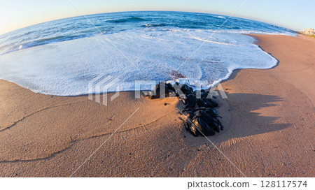 Beach Sand Waves White Water Wash 128117574