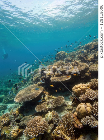 Underwater Coral Reef Ecosystem with Colorful Fish and Sunlight Rays 128118006