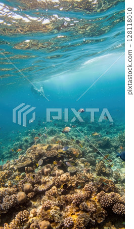 Underwater Coral Reef Ecosystem with Colorful Fish and Sunlight Rays 128118010