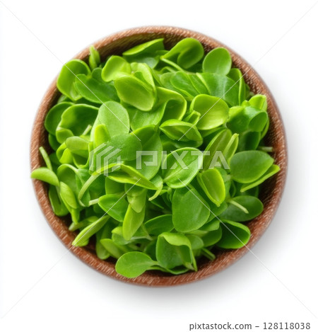 A wooden bowl contains mung bean microgreens, which are the cotyledons of Vigna radiata, also known as moong bean, green gram or mung, representing young plants, seedlings and sprouts in a macro food 128118038