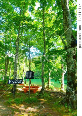 多科沼澤藏王鮮綠 多科沼澤藏王鮮綠 128118147