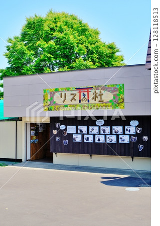 Noboribetsu Bear Ranch - Squirrel Forest Scenery 128118513