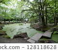 Obihiro Shrine Green Pond 128118628