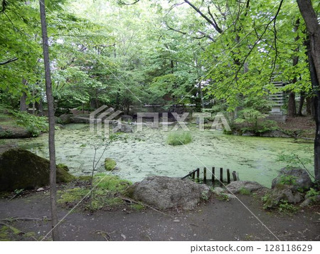 帶廣神社綠池 128118629