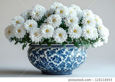 Aesthetic of plants in pot. Chrysanthemums plant with white flowers on a white background. Small potted plant. Aesthetic of plants in pot. Chrysanthemums plant with white flowers on a white background. Small potted plant. 128118933