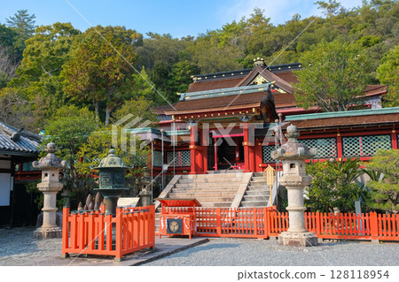 Wakayama City Kishu Toshogu Shrine Karamon Gate Wakayama City Kishu Toshogu Shrine Karamon Gate 128118954