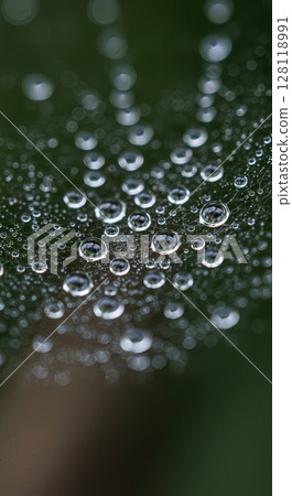 Macro Water Droplets on Spider Web with Morning Dew and Reflections 128118991