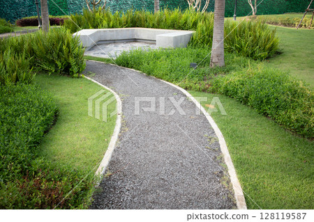 Walkway and plant in garden. 128119587