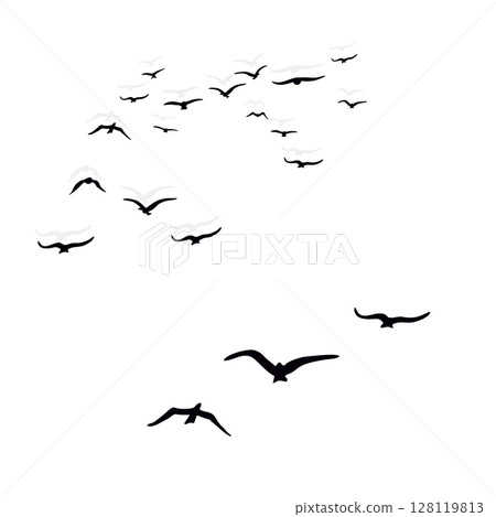 birds silhouettes on white background 128119813