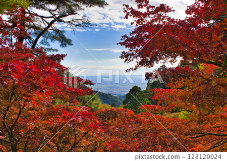 [Kanagawa Prefecture] Autumn leaves at Daisenji Temple 128120024