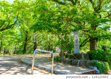 Fukuoka Castle Ruins Stone monument at the entrance of Fukuoka Castle Ruins Fukuoka Castle Ruins Stone monument at the entrance of Fukuoka Castle Ruins 128120403
