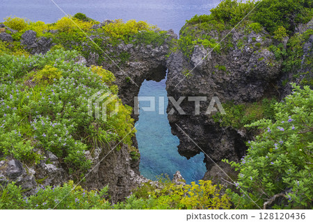 The beautiful sea of Manzamo in Okinawa 128120436