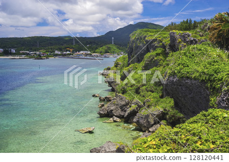 美麗的珊瑚海 美麗的珊瑚海 128120441