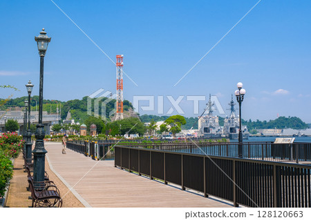 Verny Park, Yokosuka City, Kanagawa Prefecture 128120663
