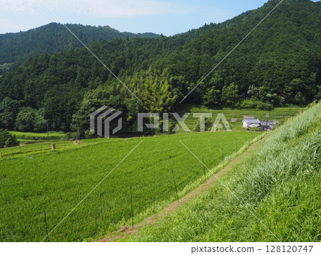 Nostalgic landscape Nostalgic landscape 128120747