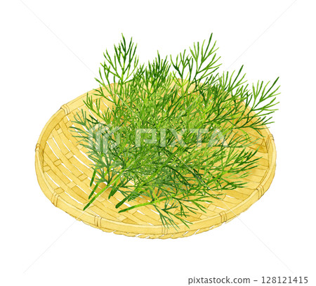 Dill (herb) on a bamboo sieve Hand-drawn watercolor illustration 128121415