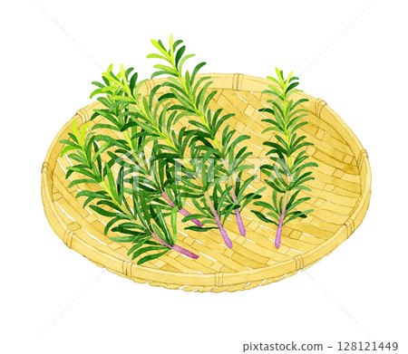 竹籃上的迷迭香（香草）手繪水彩插圖 128121449