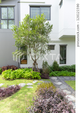 Garden with many green plant and pine tree in home back garden. 128121590