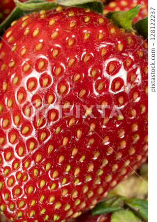 Macro View of Ripe Strawberries. Summer Harvest Background Macro View of Ripe Strawberries. Summer Harvest Background 128122237